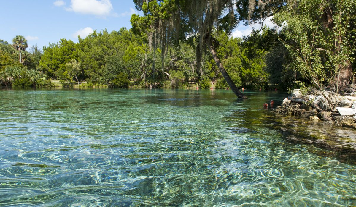 Silver Glen Springs