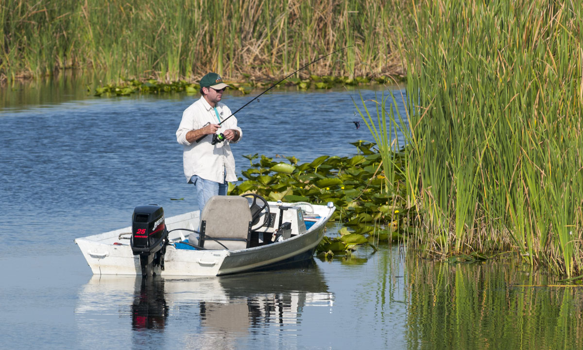 Fishing at Blue Cypress Conservation Area