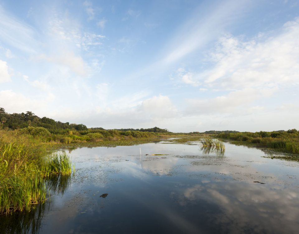 Waterway at Emeralda Marsh Conservation Area