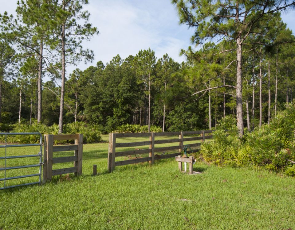Parking area at Palm Bluff Conservation Area