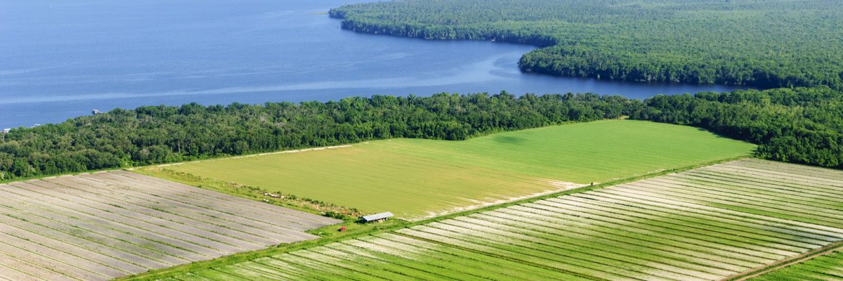 Aerial of a farm on the edge of the St. Johns River