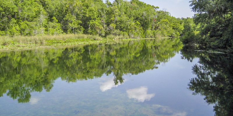 Alexander Springs in Lake County Alexander Springs in Lake County