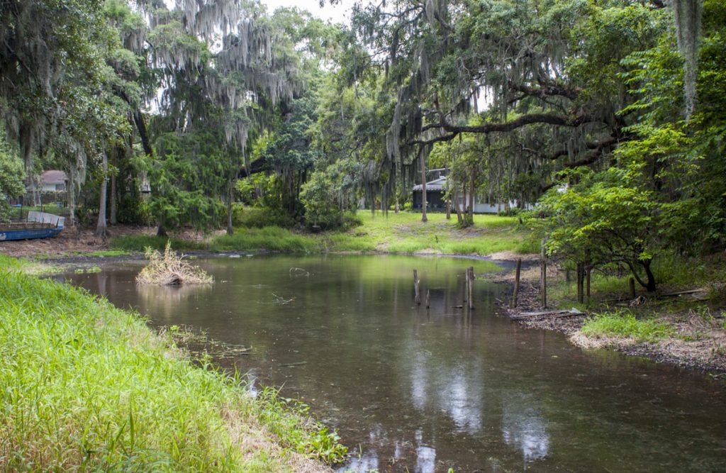 Clifton Springs in Seminole County