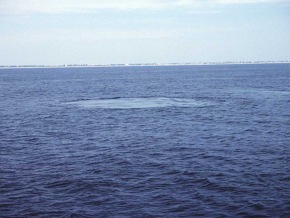 Crescent Beach Submarine Spring Crescent Beach Submarine Spring in St. Johns County