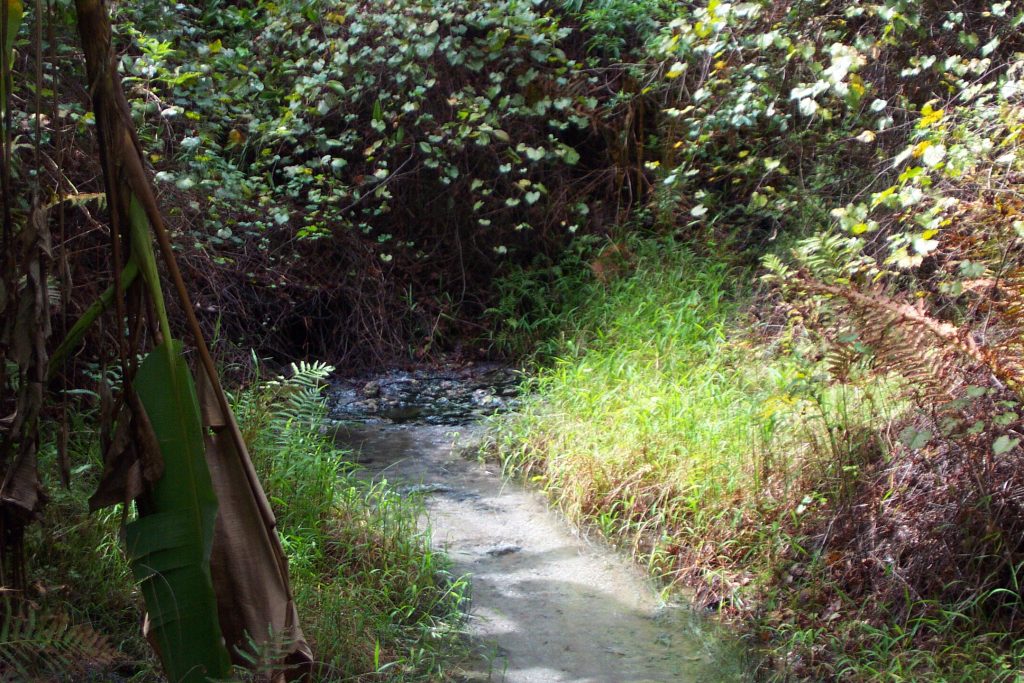 Drotty Spring in Lake County