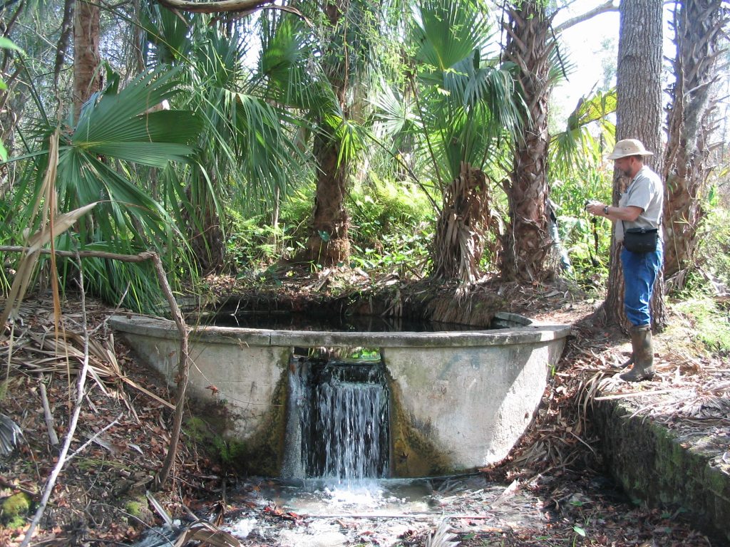 Ginger Ale Springs Ginger Ale Springs in Seminole County