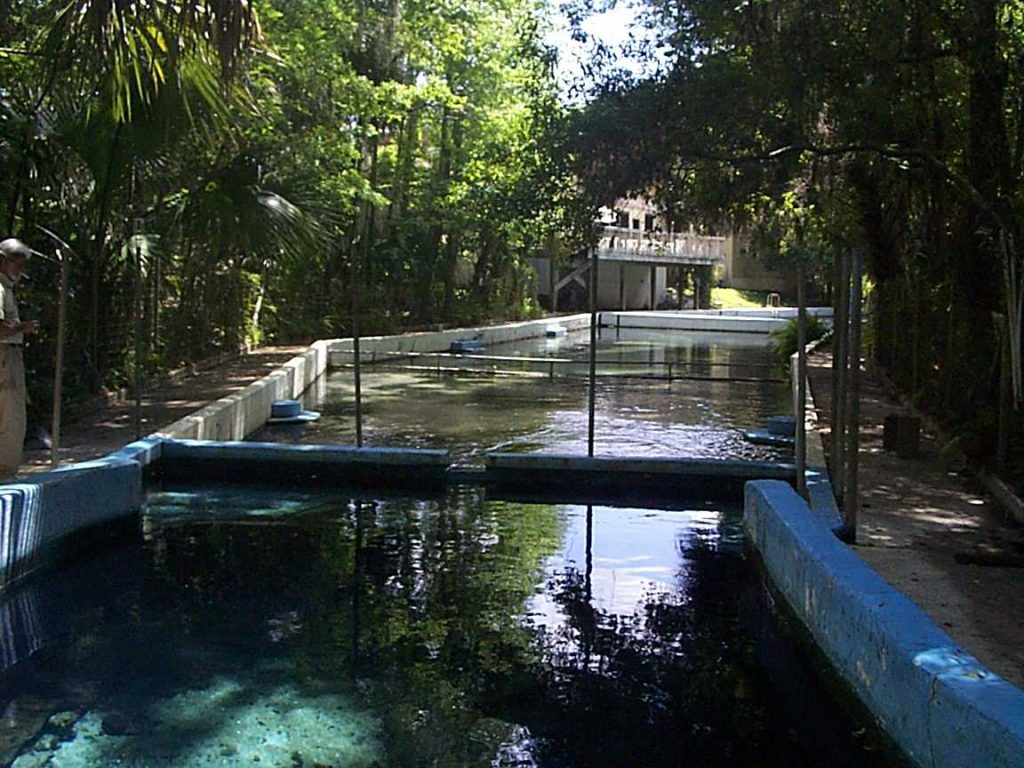 Glen Springs in Alachua County Glen Springs in Alachua County