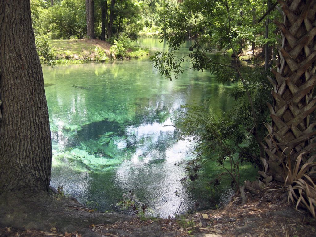 Messant Spring Messant Spring in Lake County