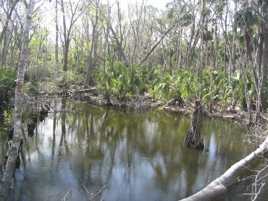 Moccasin Springs 050217-01-media Moccasin Springs in Lake County