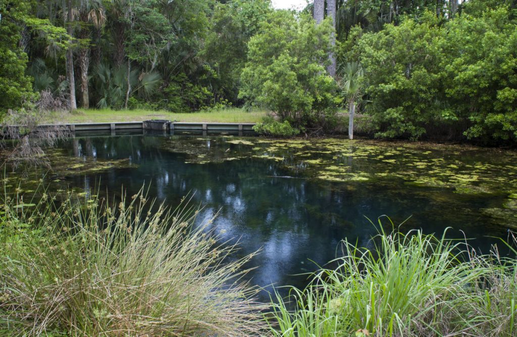 Mud Spring in Putnam County