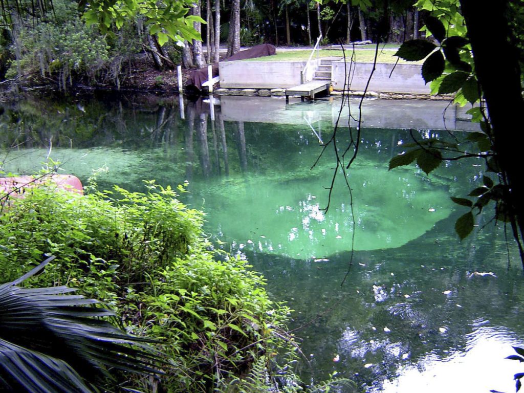 Nova Spring in Seminole County