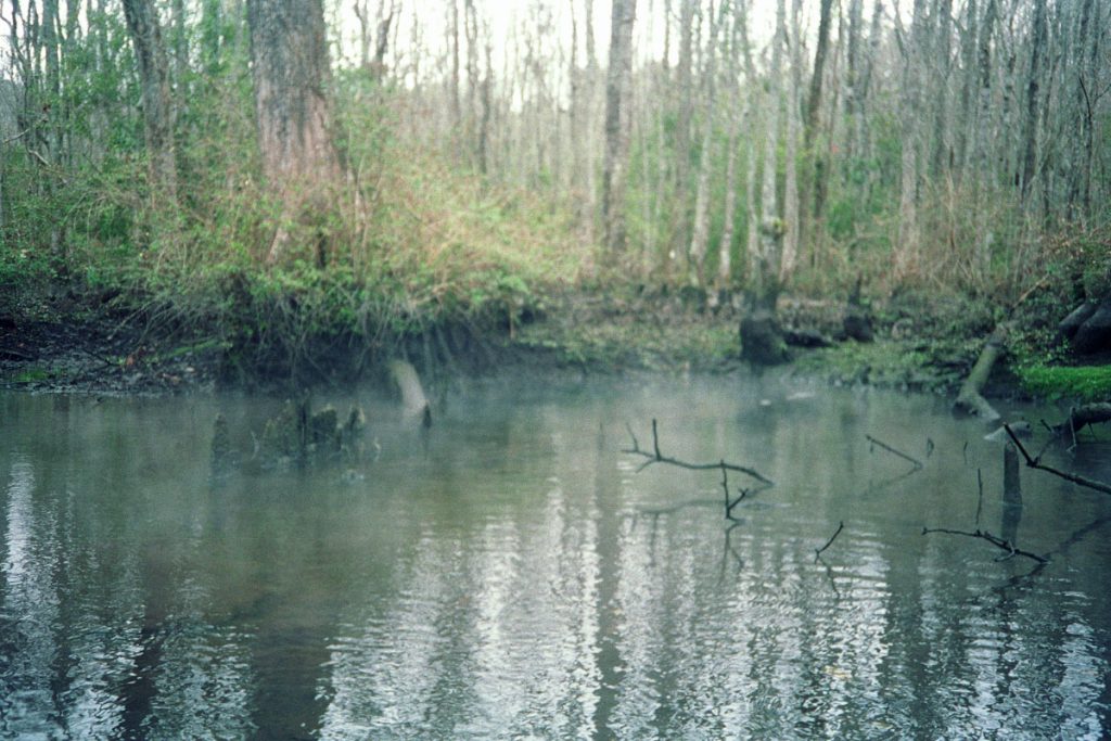 Pottsburg Creek Spring in Duval County