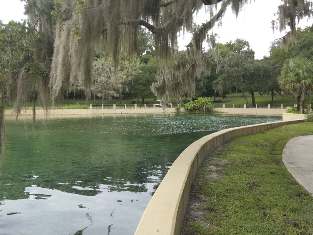 Salt Springs 20150917-130302-media Salt Springs in Marion County