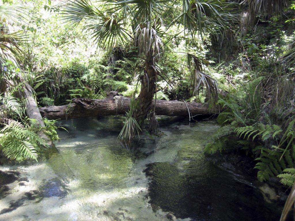 Seminole Springs in Lake County