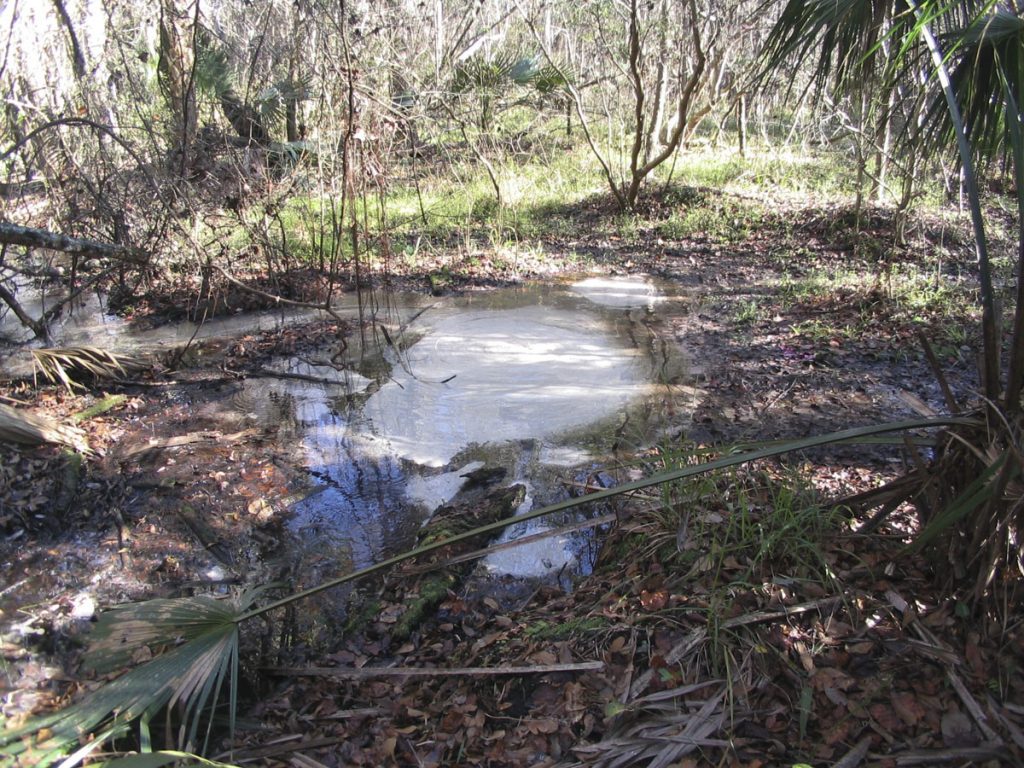 Snail Springs in Lake County