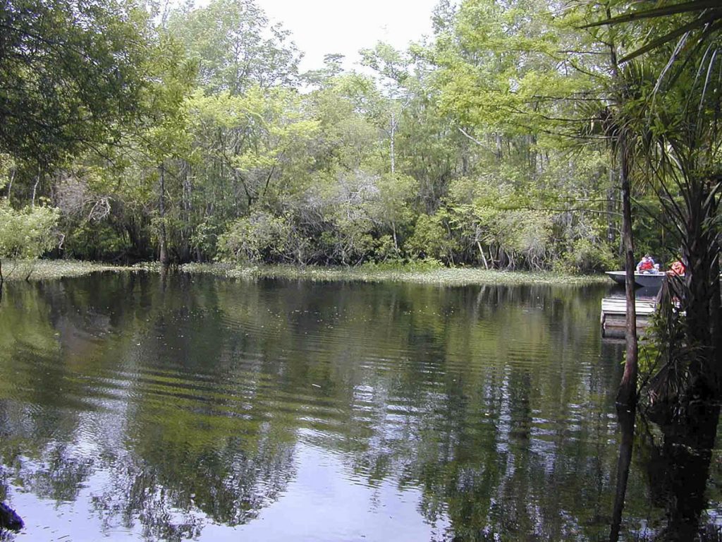 Tobacco Patch Landing Springs in Marion County