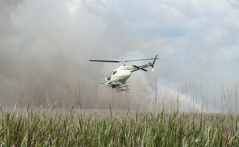 Helicopter used to fight wildfire flying low over a marsh