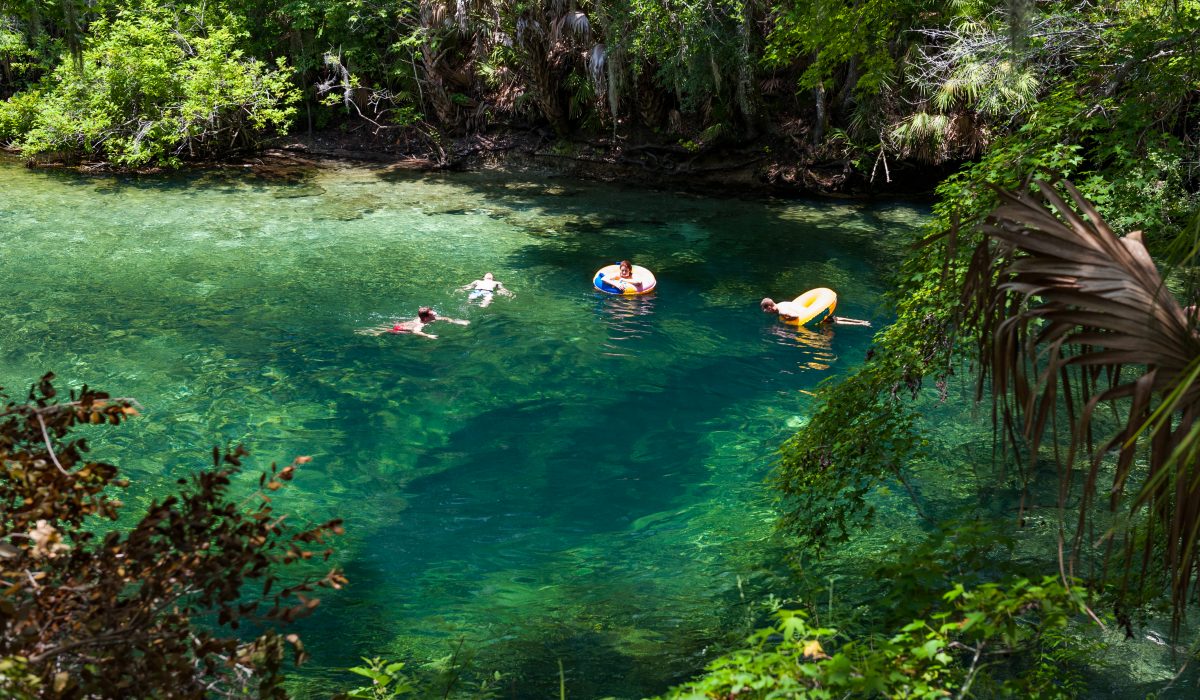 People swimming at Blue Spring