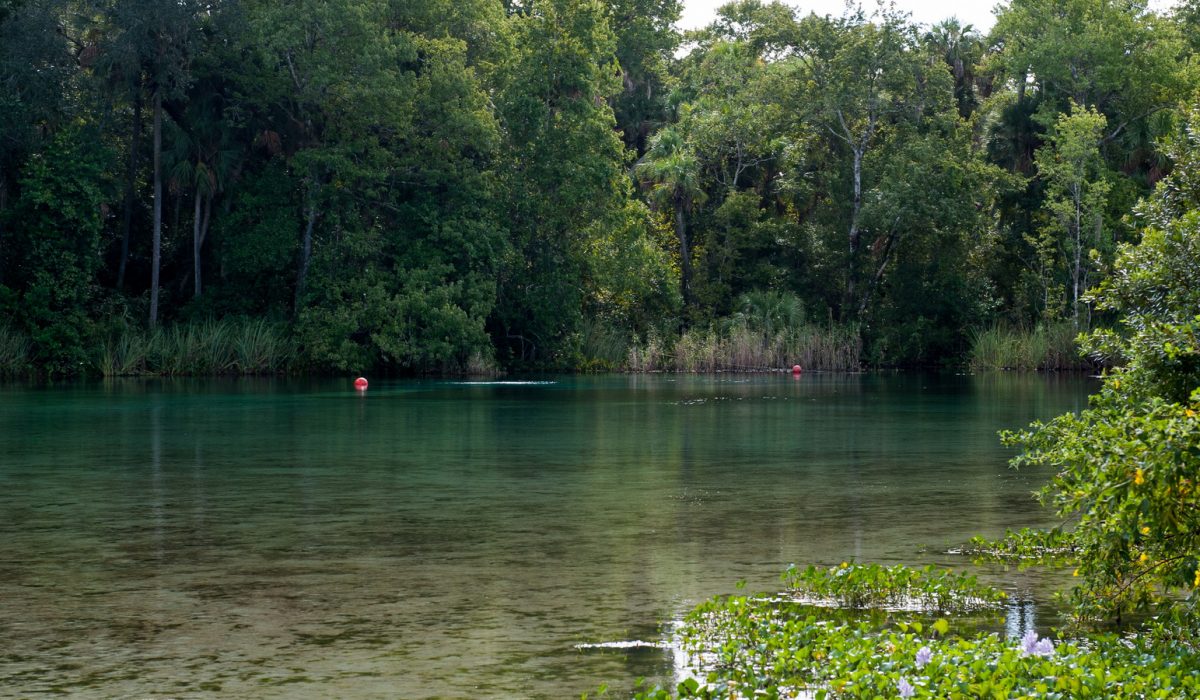 Alexander Springs