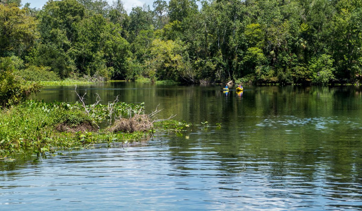 Wekiwa Springs run