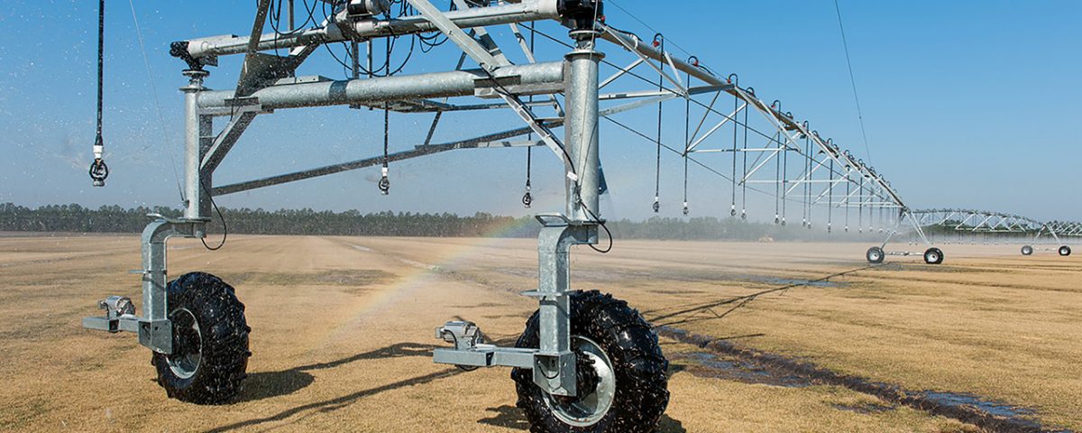 Pivor irrigation system watering a sod farm