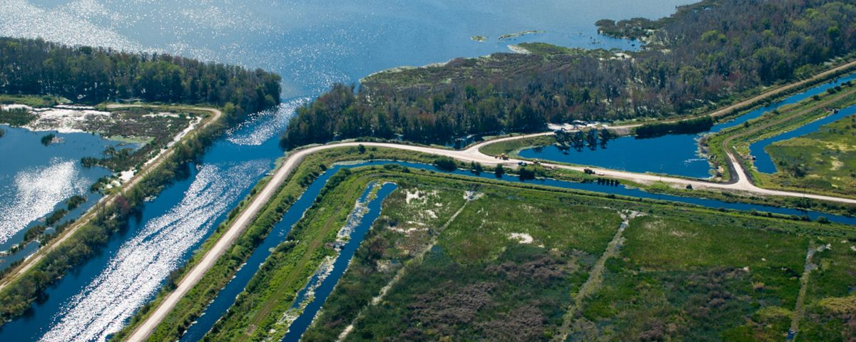 Area of the north shore of Lake Apopka and marsh flow-way