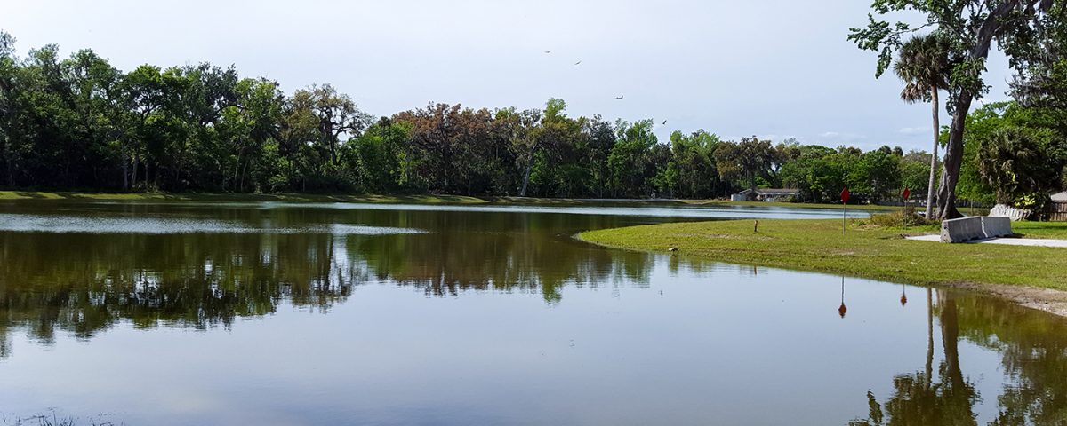 Large stormwater pond with trees and houses in the background
