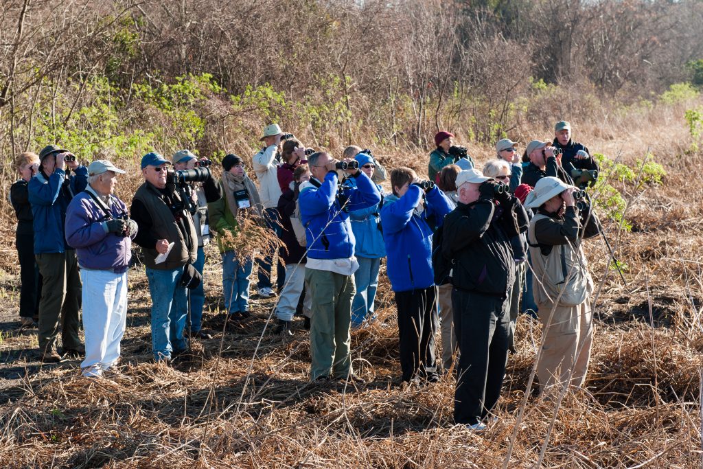 Group of people looking for birds