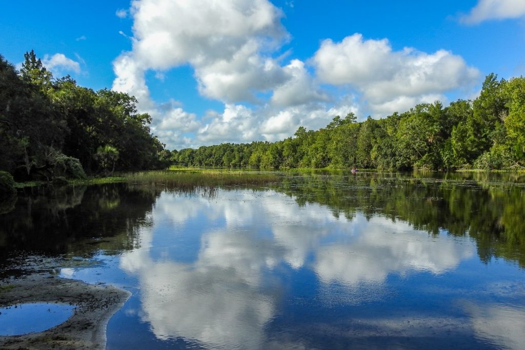 Alexander Spring run in the Ocala National Forest.