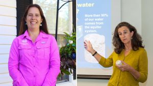 Jennifer Mitchell and Deirdre Irwin leading their own webinars
