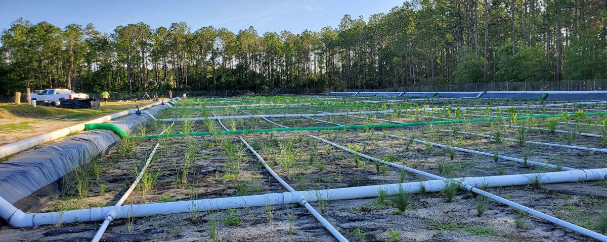Plastic pipes laying in a grid pattern
