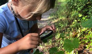 Girl looking at leaves using a magnifying lens