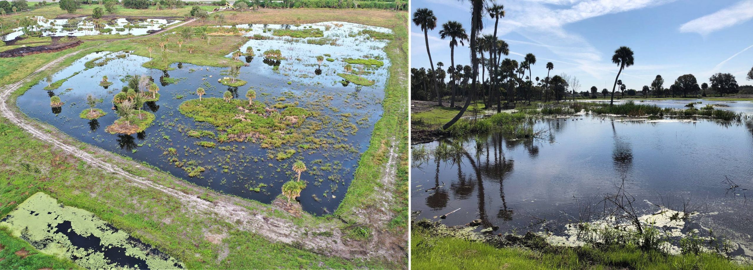 Aerial view of the Coastal Oaks wetland
