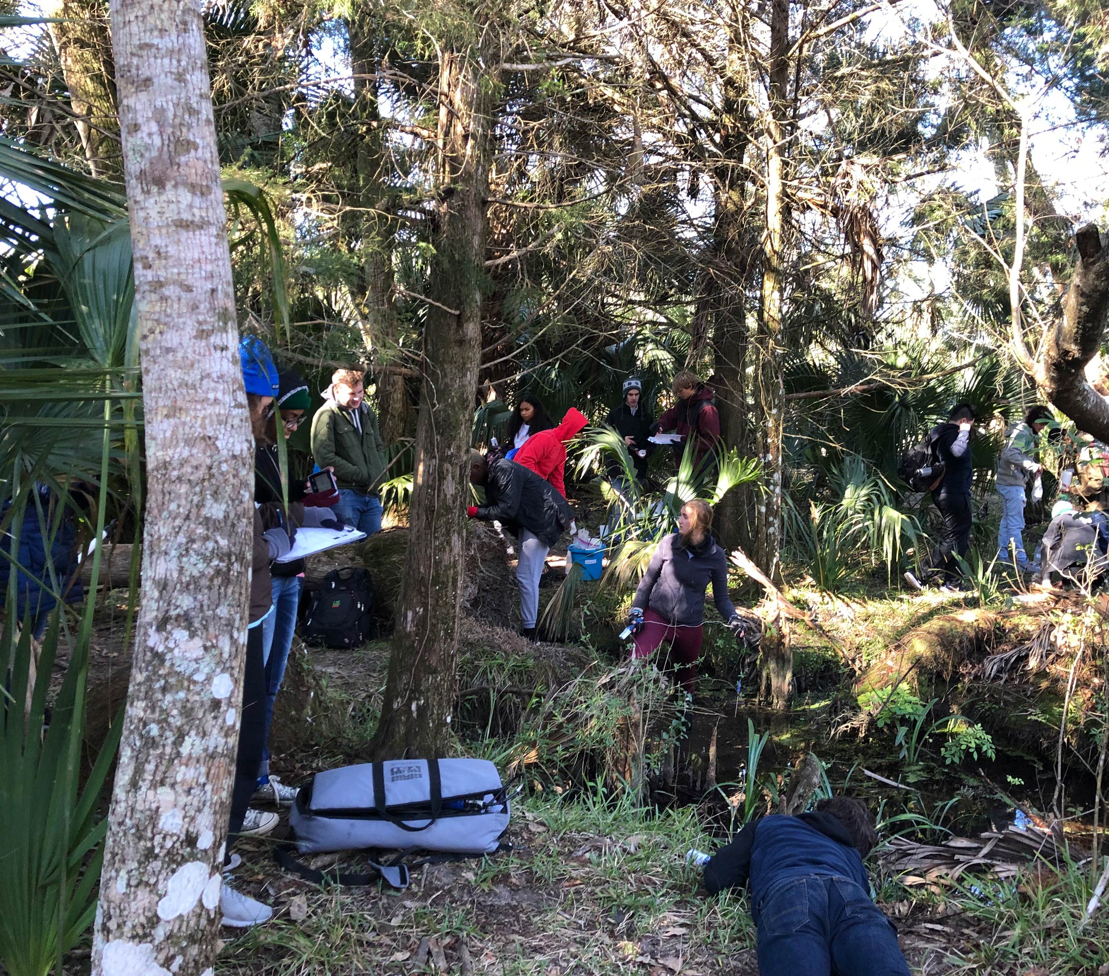 Group of students studying flora