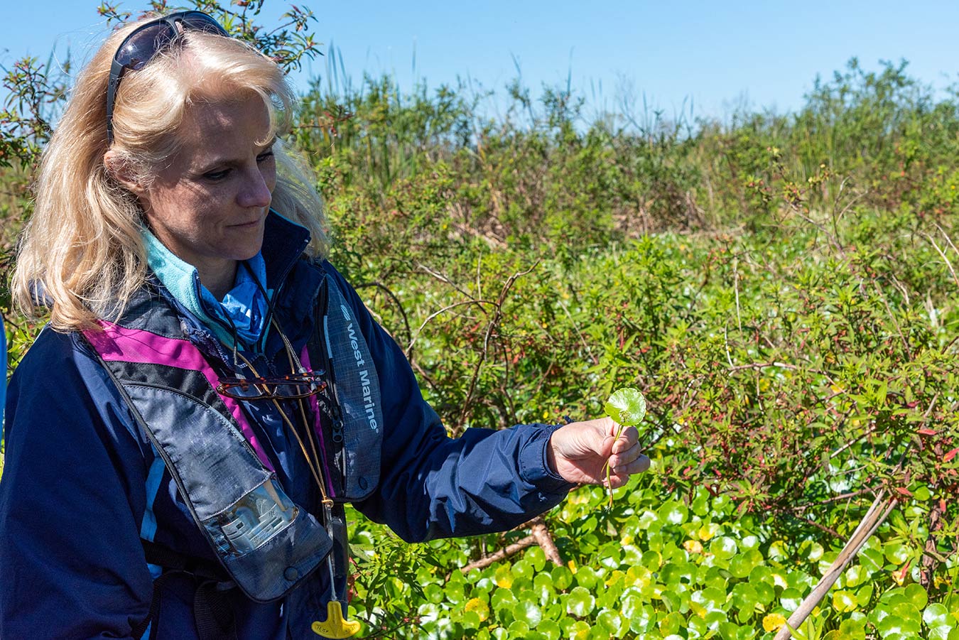 Kim Ponzio conducts a survey of vegetation at the headwaters of the St. Johns River.