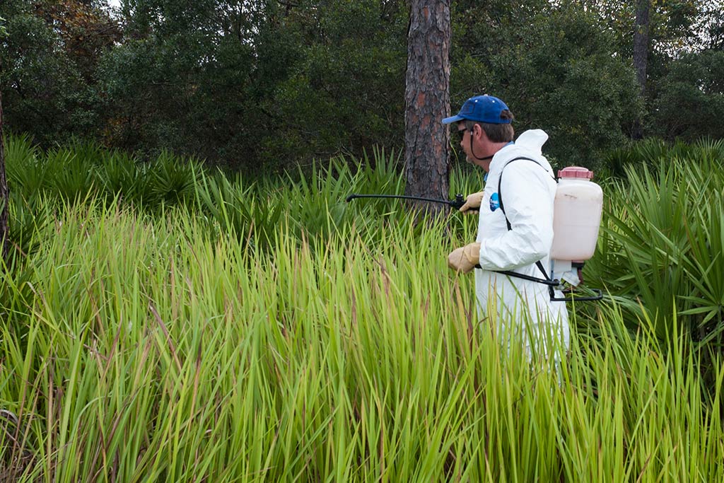 District employee spraying tall grass