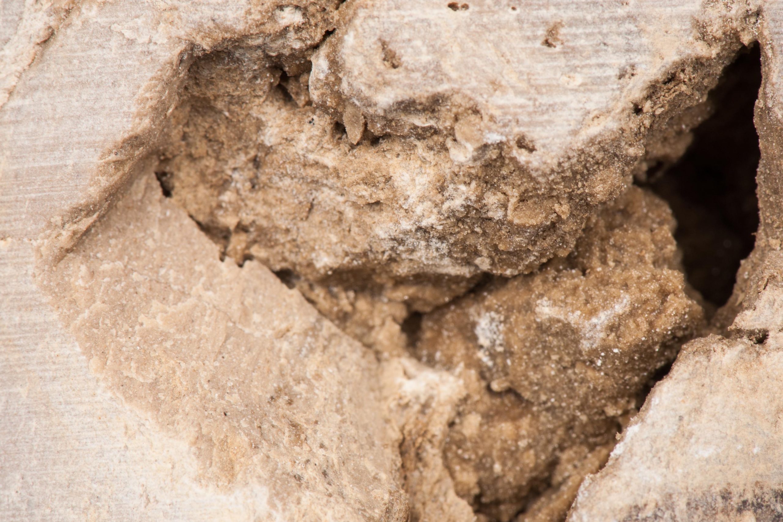 Close-up picture of limestone