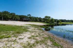 Black Creek shore