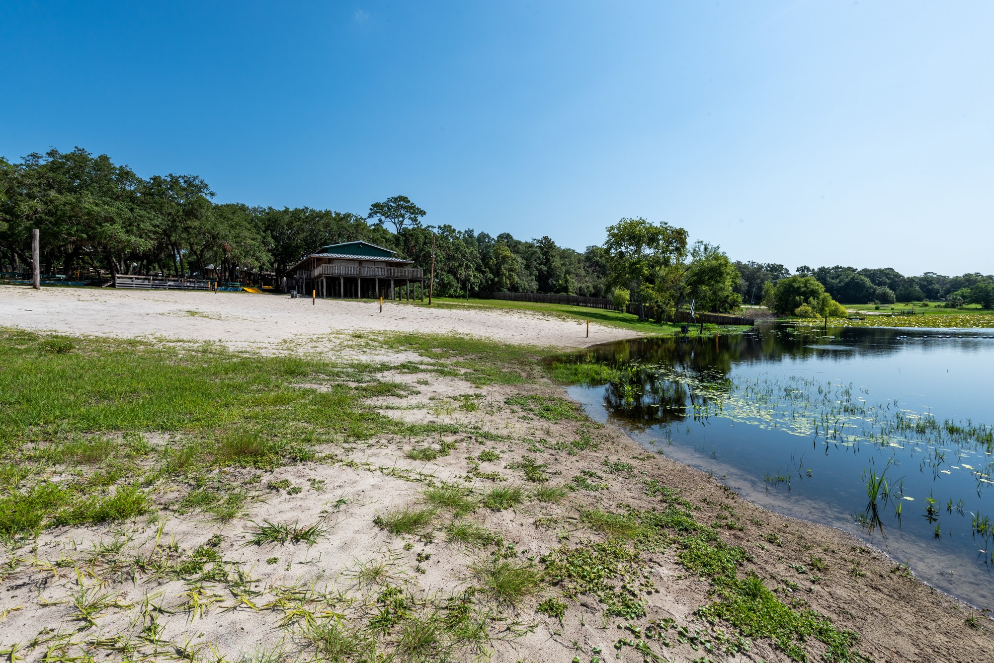 Black Creek shore