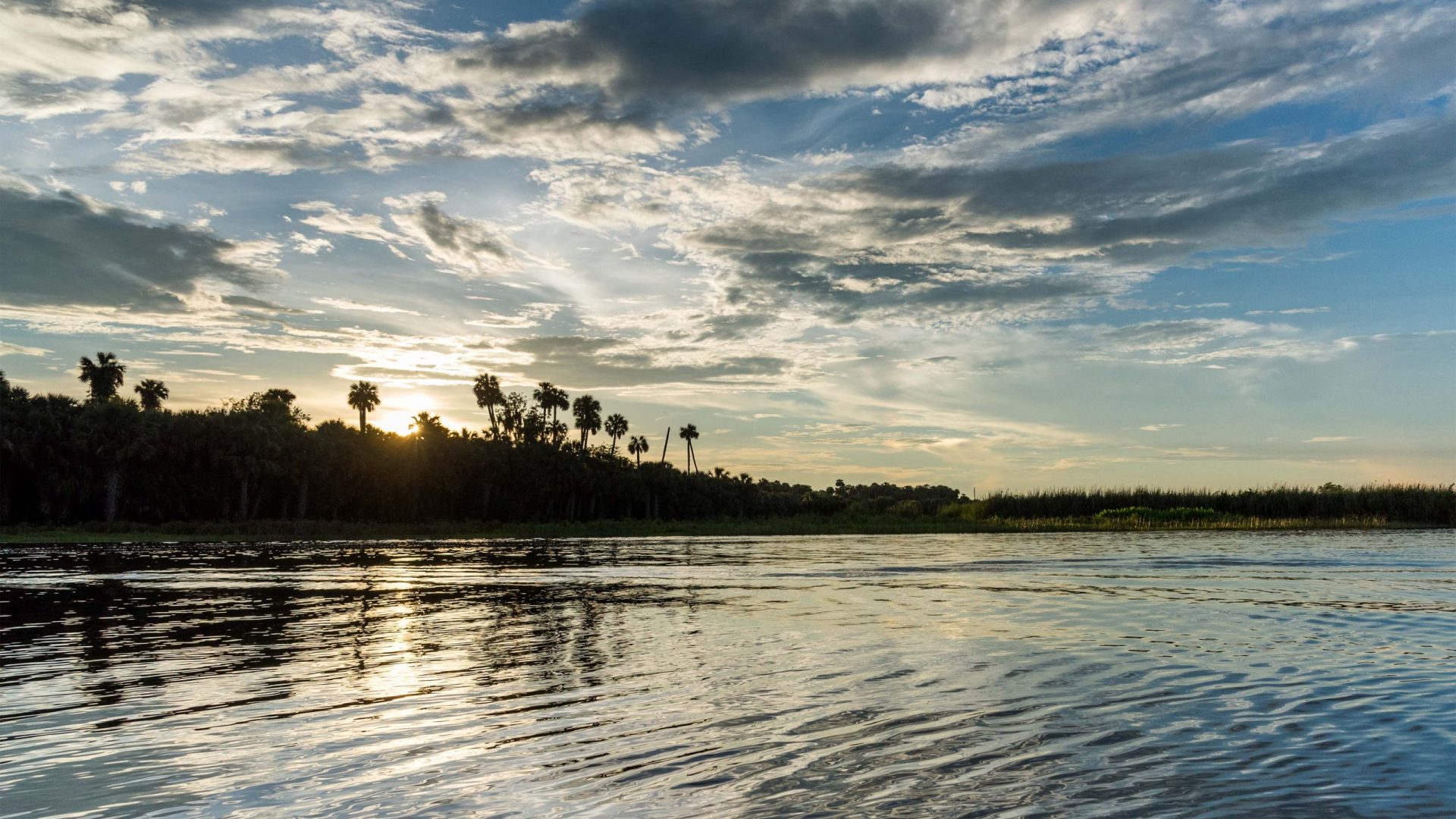 The sun peeks over the trees along the shore of Lake Jesup. The sun peeks over the trees along the shore of Lake Jesup