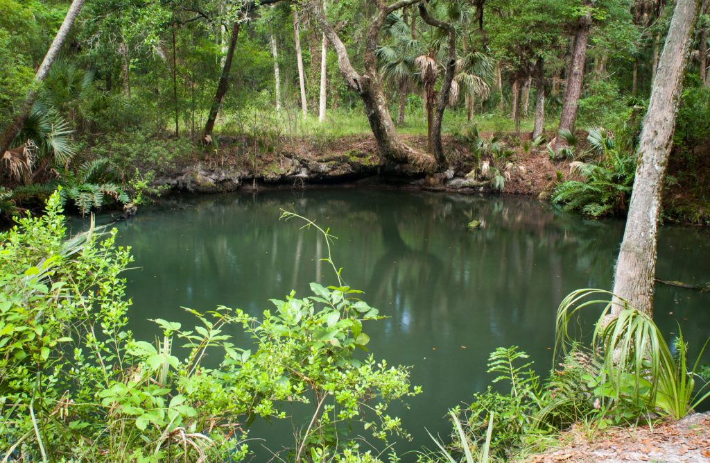 Green Springs Green Springs