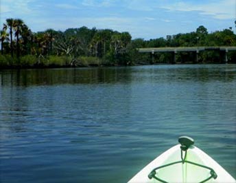 View of Tomoka River from a canoe