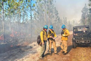 3 district fire fighters standing together