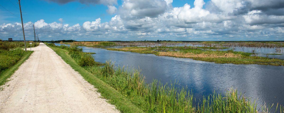 Lake Apopka Wildlife Drive stretching out next to open water