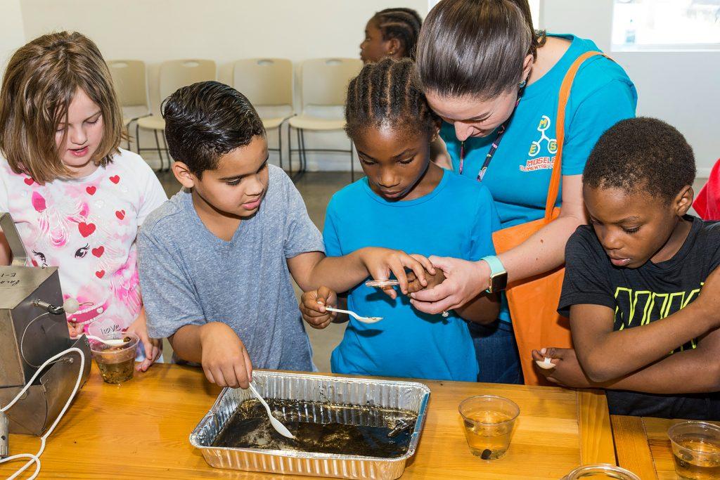 Children looking at macroinvertebrates with an adult
