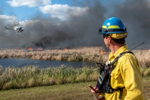A land manager watching a helicopter ignite a prescribed fire in a marsh