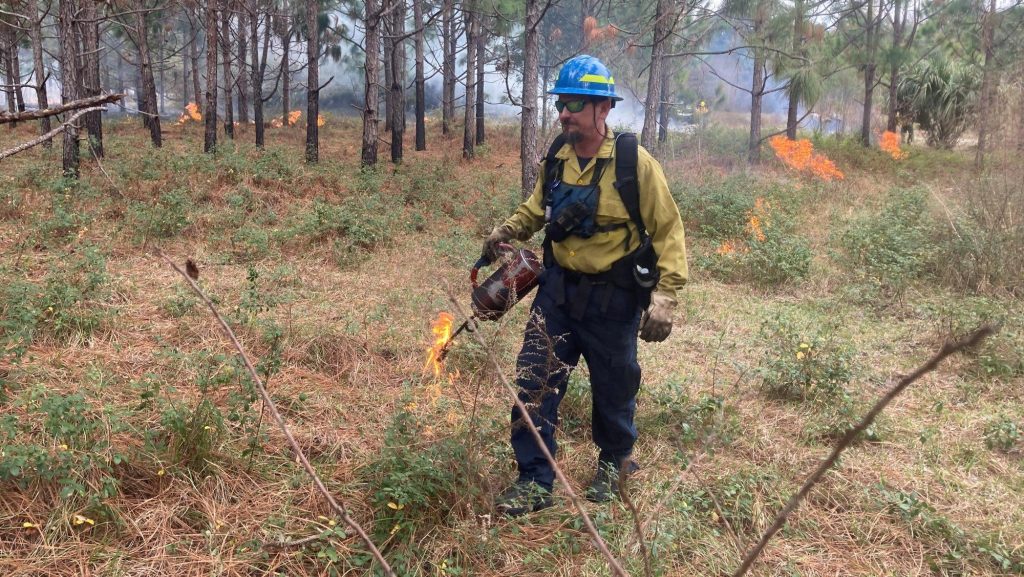 Man walking in wooded area with fire equipment and safety gear