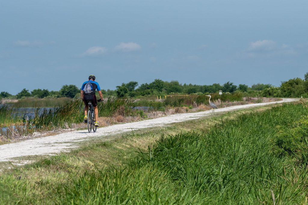 Person riding bicycle on public trail with heron