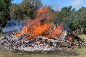 Sunnyhill-Pile-Burn